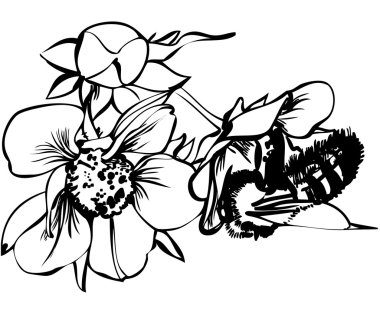 Bee on flowers clipart