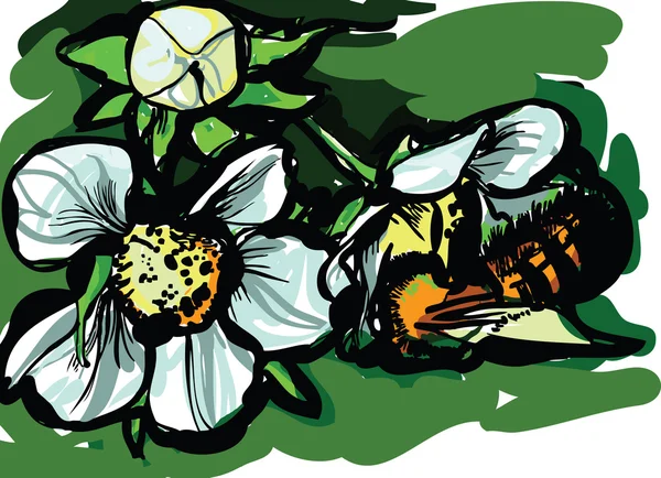 Пчела на цветах — стоковый вектор