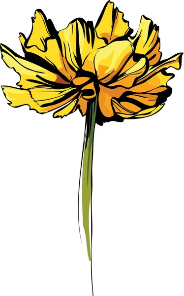Skiss av en blomma med stora kronblad — Stock vektor