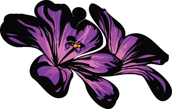 Zwei Röschen lila — Stockvektor