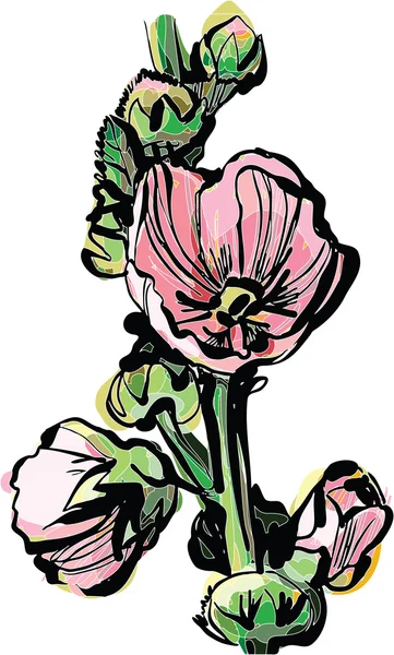 Blooming rose mallow branch — Stock Vector