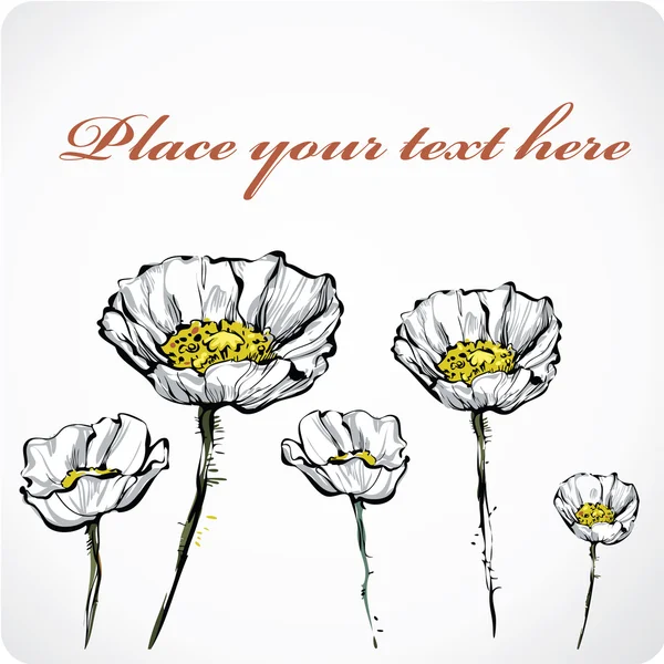 五个白色罂粟花 — 图库矢量图片