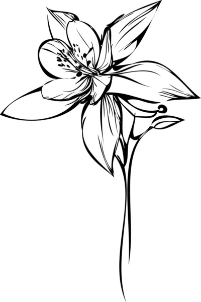 Pequeña orquídea — Vector de stock