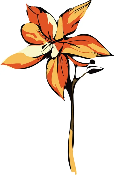 Orquídea naranja — Vector de stock