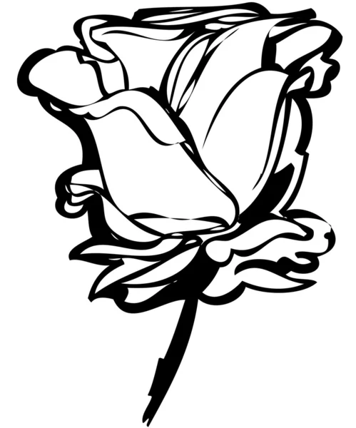 Zwart-wit tekening rozenknop op een witte achtergrond — Stockvector