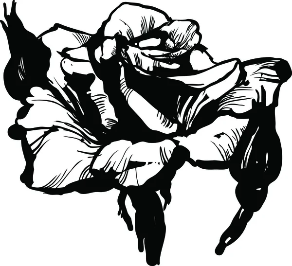 Gorgeous rose bud zwart en wit tekenen van schets — Stockvector