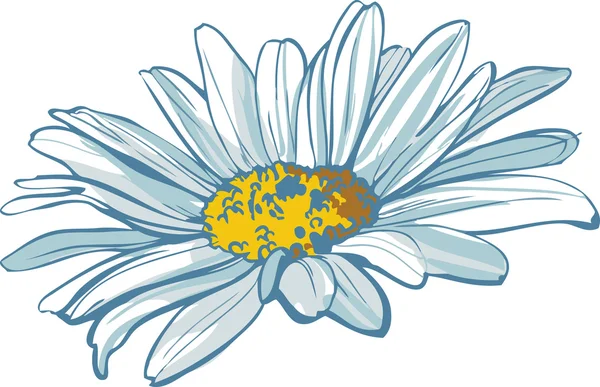 Έγχρωμη εικόνα του λουλούδι χαμομήλι λευκό χρώμα — Διανυσματικό Αρχείο