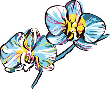 Two orchids with yellow center and blue petals clipart