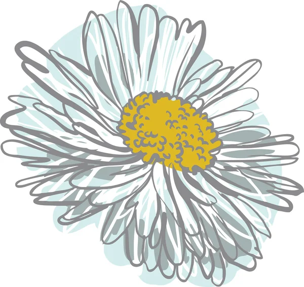 Έγχρωμη εικόνα του λουλουδιού του λευκού χρώματος — Διανυσματικό Αρχείο