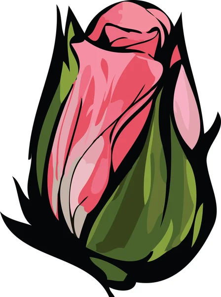 Kolorowy obraz rysunek delikatny różowy pąk róży zamknięte — Zdjęcie stockowe