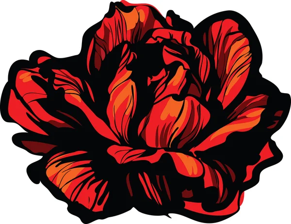 在白色背景上的草绘红玫瑰花蕾 — 图库矢量图片