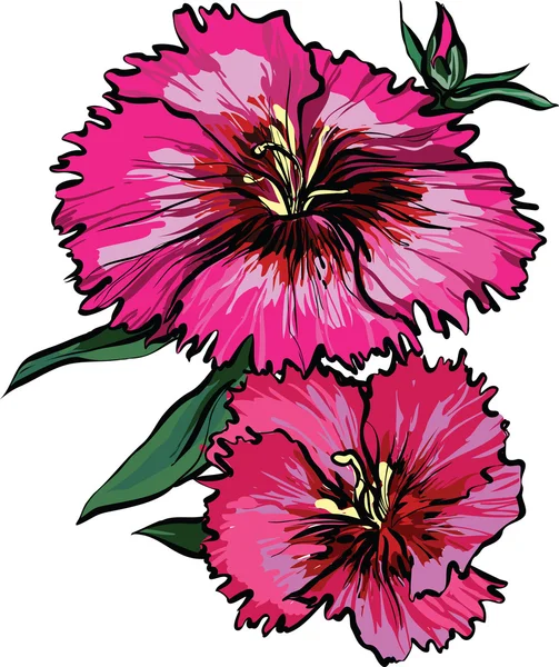 Δύο ροζ λουλούδι με πράσινα φύλλα — Διανυσματικό Αρχείο