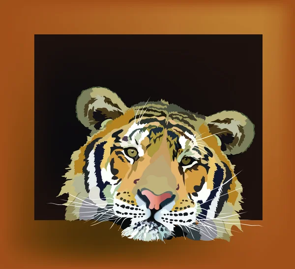 Image couleur tigre d'un animal sauvage dans un cadre — Image vectorielle