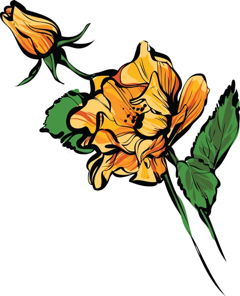 橙色的大、 小玫瑰花蕾 — 图库矢量图片