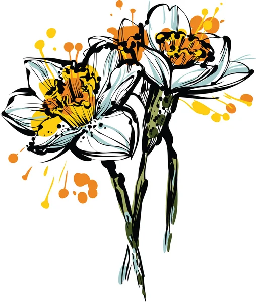 Tres flores de narciso — Vector de stock