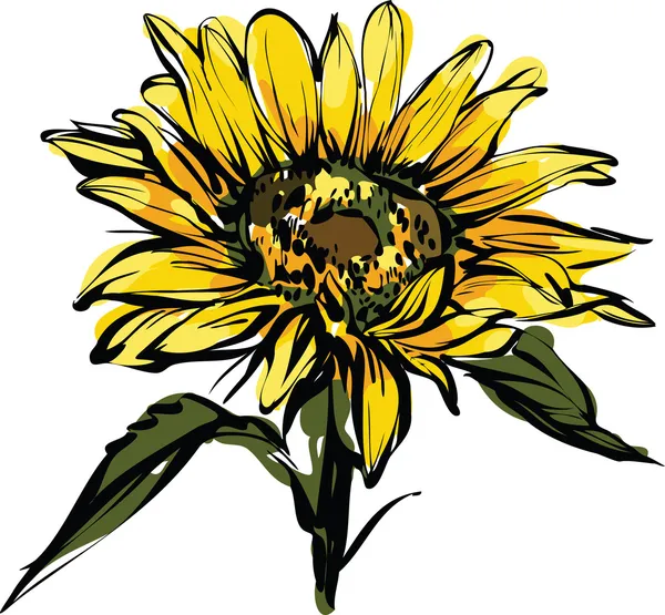 Yellow sunflower design — Stock Vector