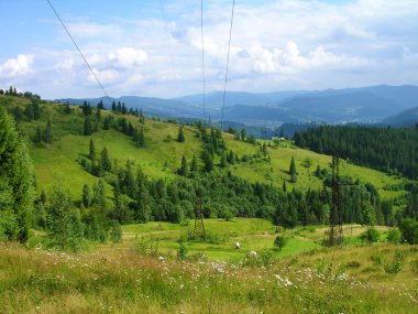 Karpat Dağları, Ukrayna