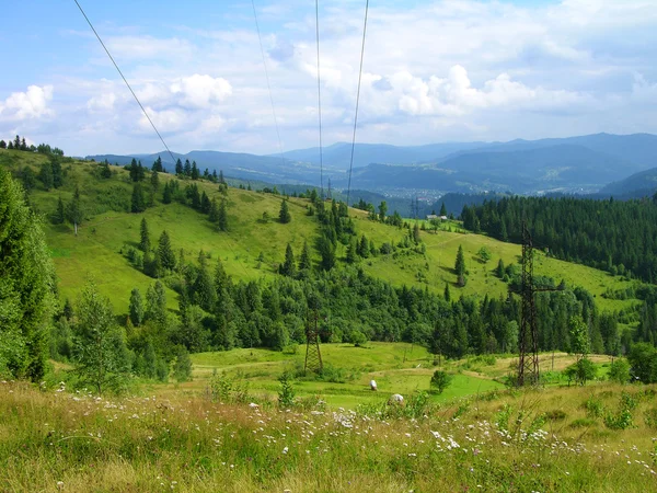 Carpathian mountains, Ukraine — Stock Photo, Image
