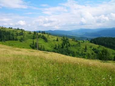 Karpat Dağları, Ukrayna