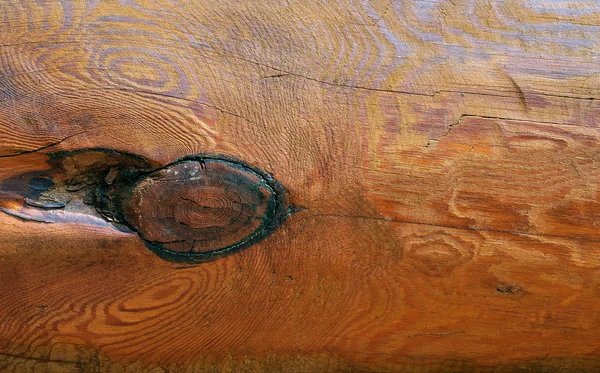 Grunge tronco de madeira — Fotografia de Stock