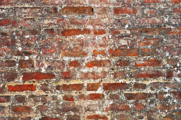Старая кирпичная стена — стоковое фото