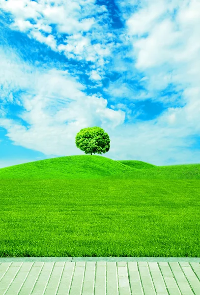 One green tree on blue sky — Stock Photo, Image