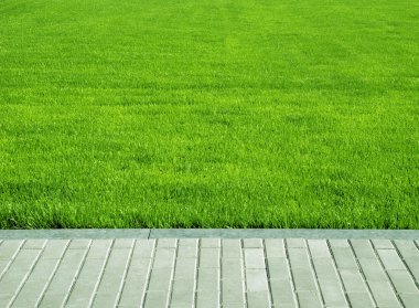 Lawn, grass plot clipart