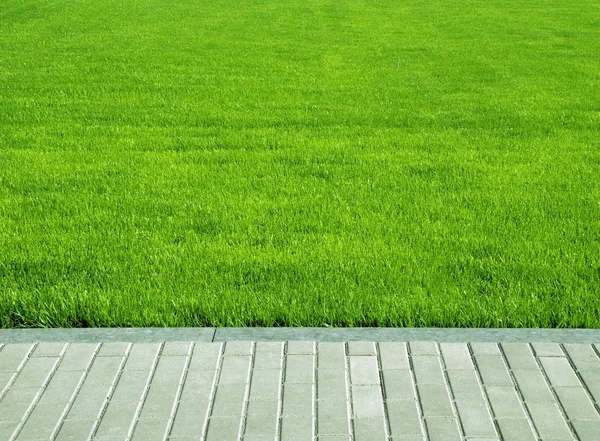 Trawnik, trawa Działka — Zdjęcie stockowe