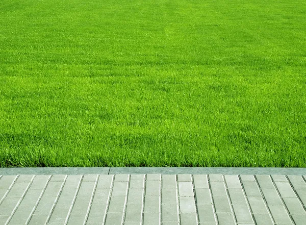Césped, parcela de hierba —  Fotos de Stock