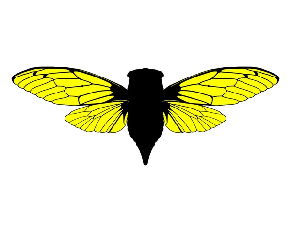 Красиві cicada — стокове фото