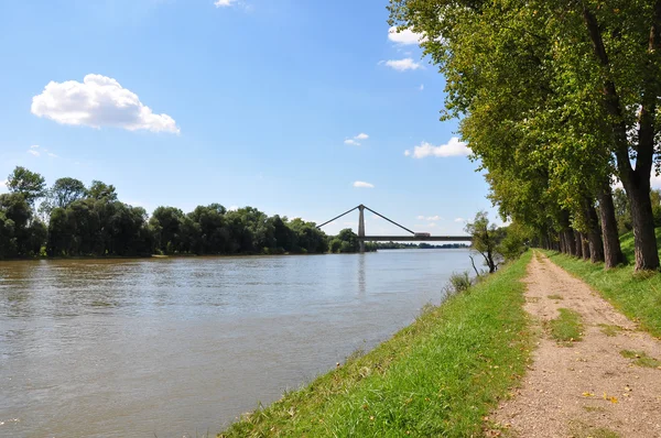 stock image Danube near Metten, Bavaria