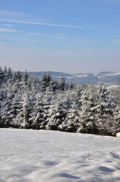 Winter landscape in Bavaria — Stock Photo, Image