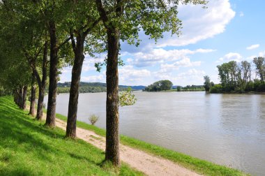 Donau in de buurt van metten, BeierenTuna Nehri yakınında metten, Bavyera