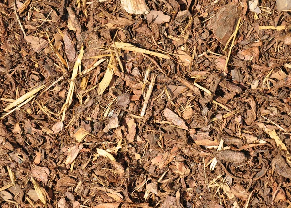 Schors mulch — Stockfoto