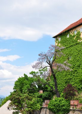 Castle hill Graz, Avusturya