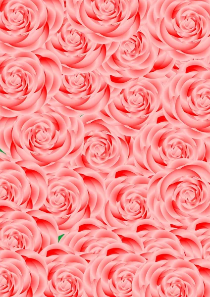 Roses uniques . — Image vectorielle