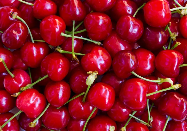 Cherries can use as background — Stock Photo, Image