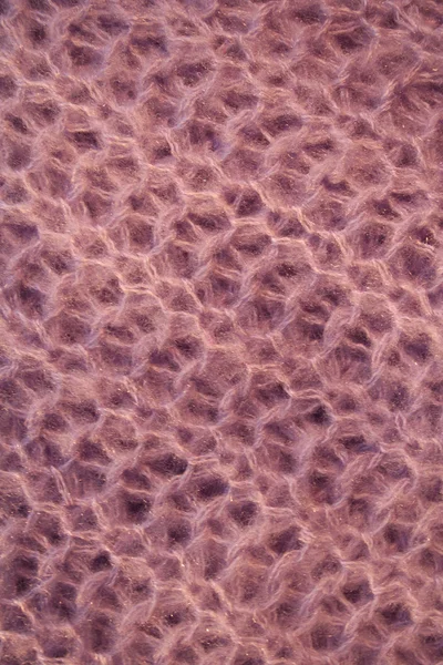 Pink wool background — Stock Photo, Image