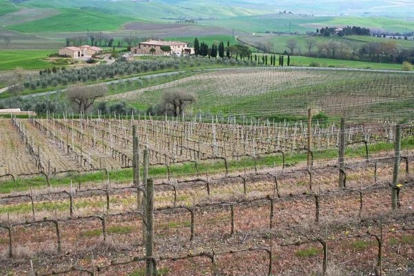 De Italia. Región de Toscana, Valle de Orcia . —  Fotos de Stock