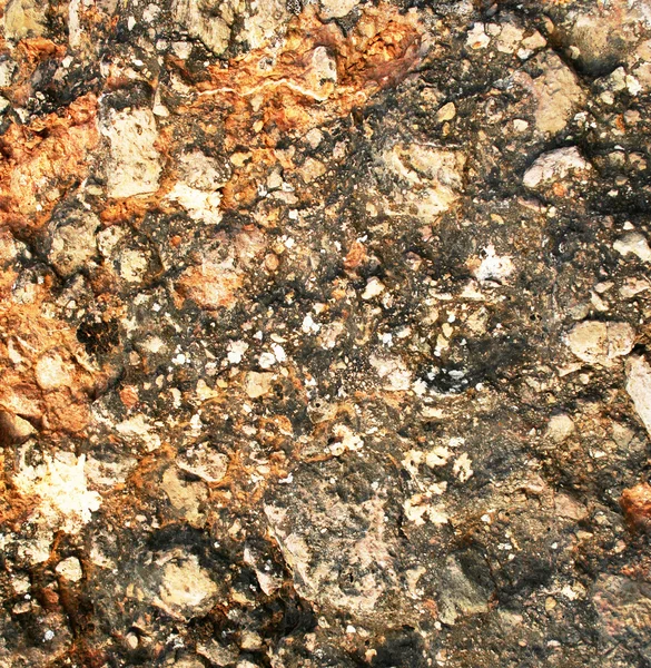 Boden und Stein nach Regen Textur als Hintergrund — Stockfoto