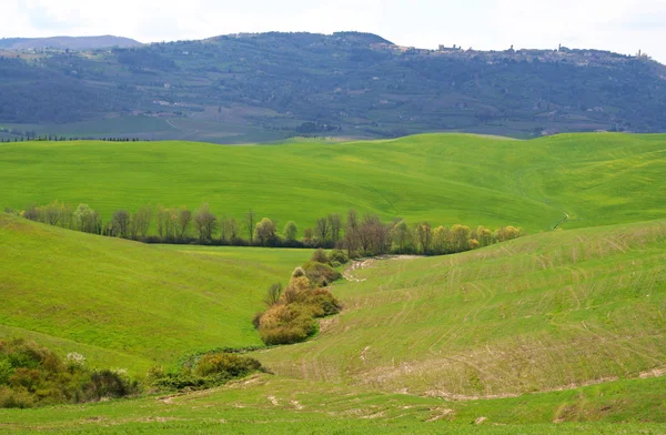 De Italia. Valle del Valle de Orcia. Paisaje Toscana —  Fotos de Stock