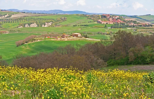 De Italia. Valle del Valle de Orcia. Paisaje Toscana —  Fotos de Stock