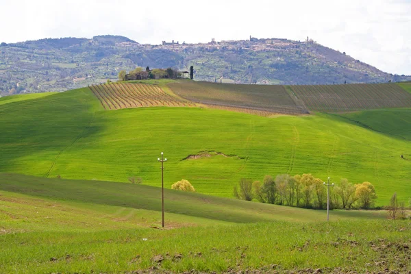 Италия. Вал Д 'Орча Вэлли. Тосканский пейзаж — стоковое фото