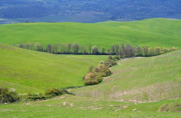 İtalya. Val D'Orcia Vadisi. Tuscany manzara — Stok fotoğraf