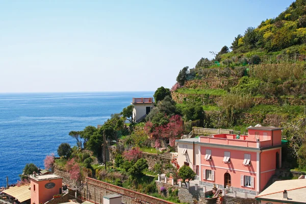 Itália. Cinque Terre. Vila de Riomaggiore — Fotografia de Stock