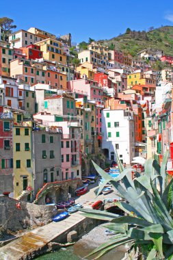 Italy. Cinque Terre. Riomaggiore village clipart