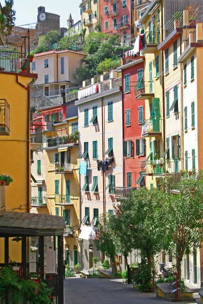 Italy. Cinque Terre. Riomaggiore village — Stock Photo, Image