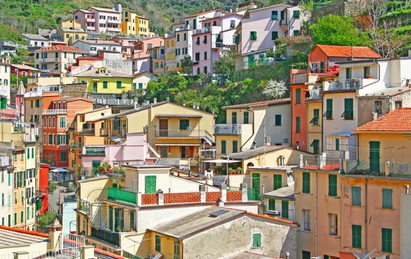 Italia. Cinque Terre. Riomaggiore — Foto Stock