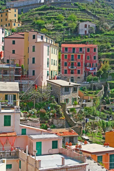 Italia. Cinque Terre. Riomaggiore — Stok Foto
