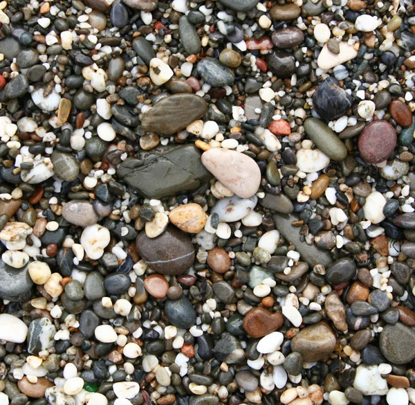 Coloridas piedras en la playa —  Fotos de Stock
